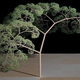 Illustration for article titled Scientists still puzzled by a fractal discovered 500 years ago